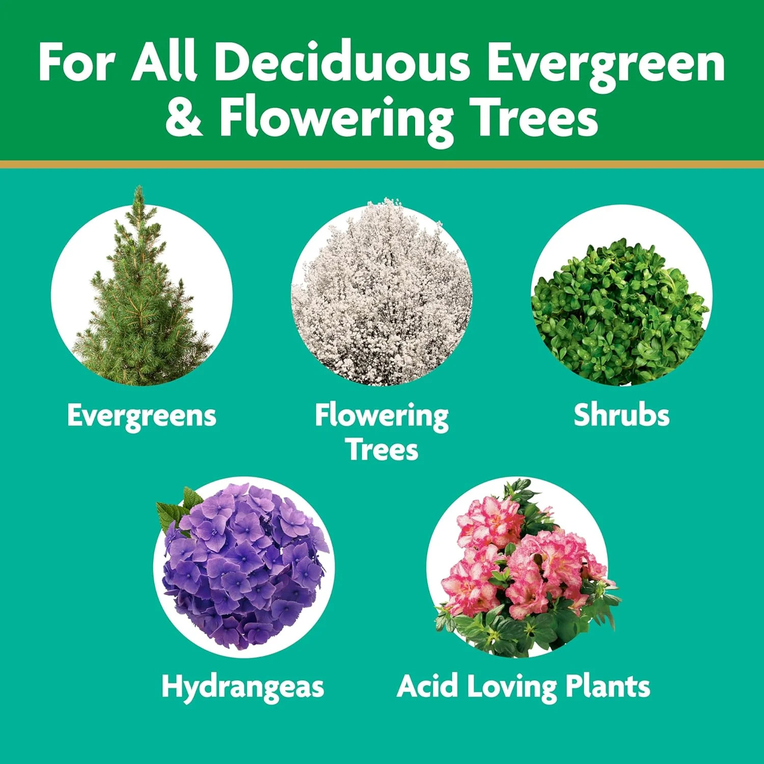3 Lb. All Season Tree and Shrub Fertilizer Spikes (12-5-7)