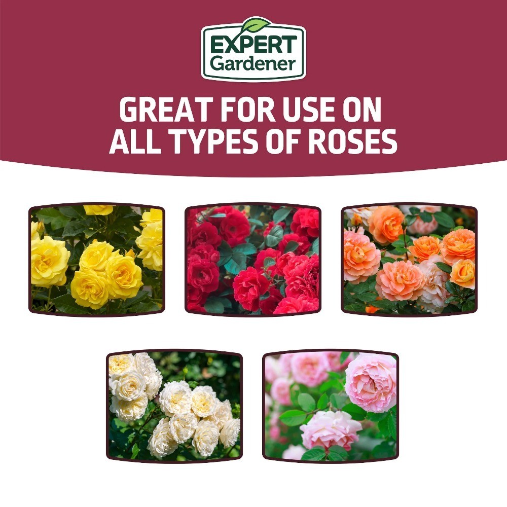 Rose Plant Food Fertilizer 12-6-10 NPK 4 lb Pack for Healthy Blooms and Strong