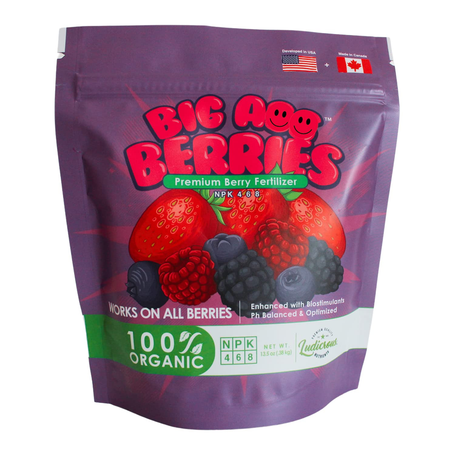 Big a Berries Fertilizer Nutrients – Plant Nutrients for Growth – Organic Nutrie