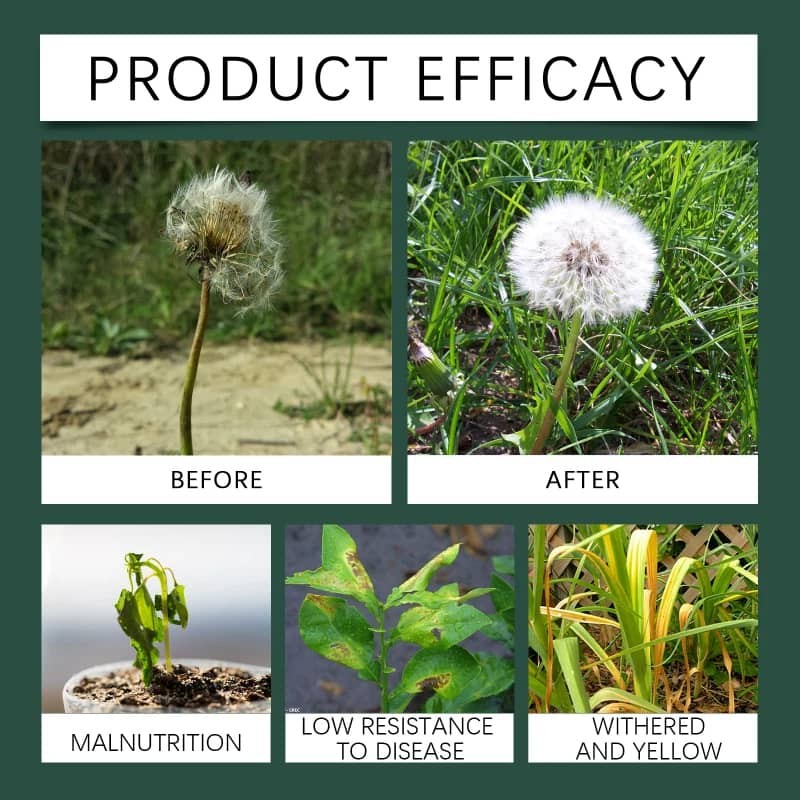 Liquid Soil Conditioner Tropical Plant Growth Supplement Drops Improve Nutrition