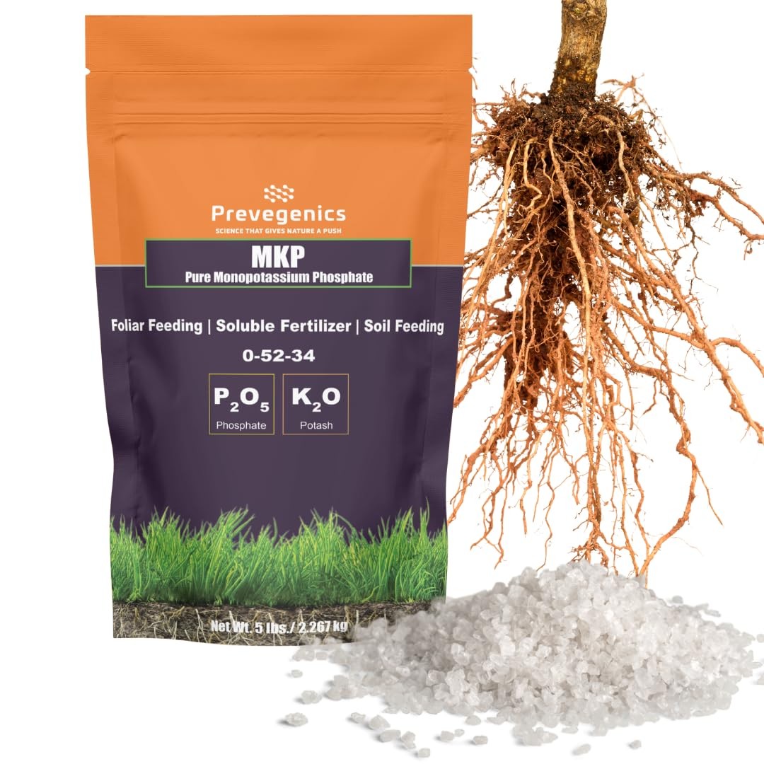 Monopotassium Phoshpate MKP Fertilizer, Highly Water Soluble, 0-52-34 (1 Pound)