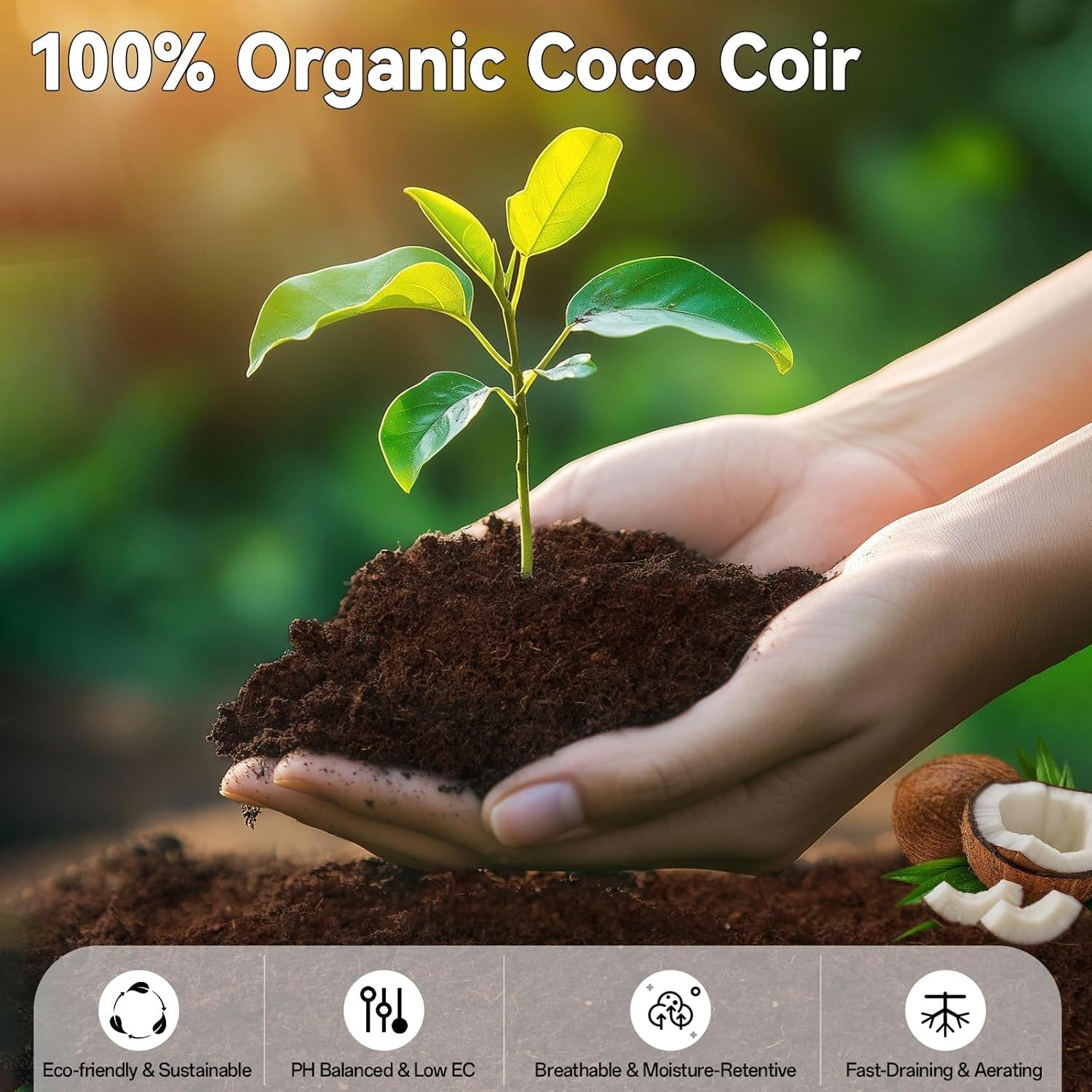 Eco-Friendly 100 Pack Organic Coco Coir Seed Pellets for Indoor & Outdoor Plants