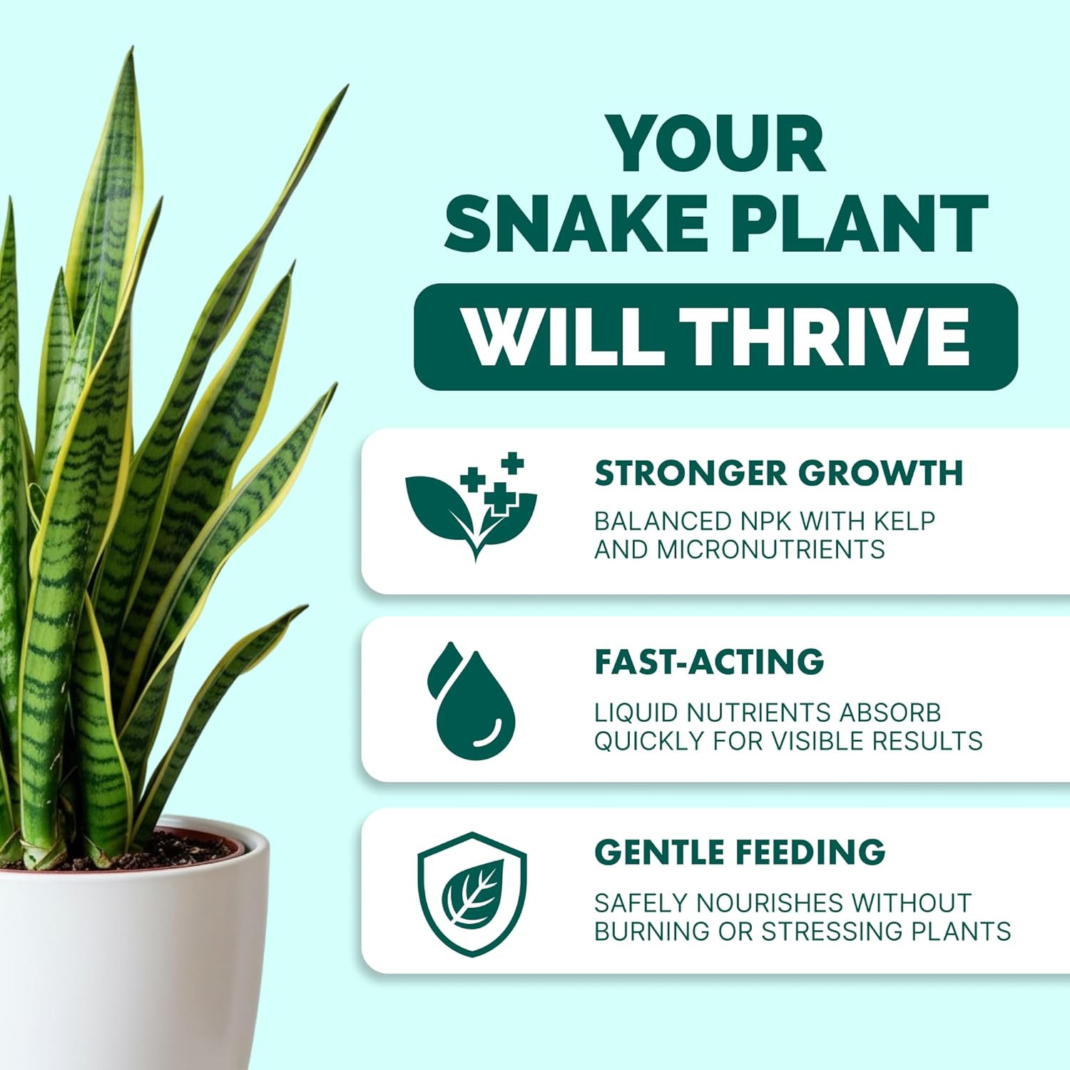 Snake Plant Fertilizer – Liquid Plant Food for Upright Growth, Strong Roots & Ri
