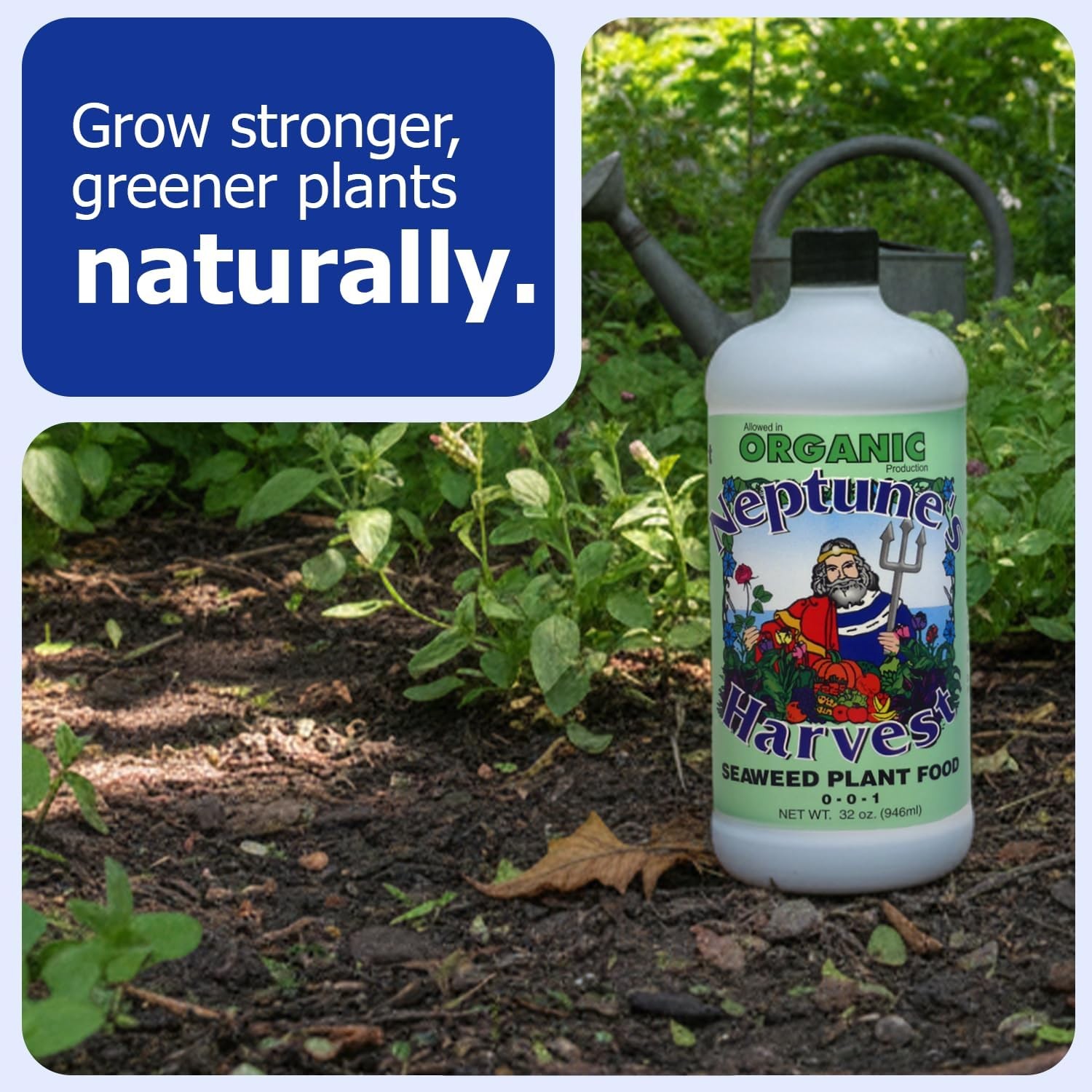 Seaweed Plant Food 0-0-1 – Multi-Purpose Organic Liquid Fertilizer – Indoor