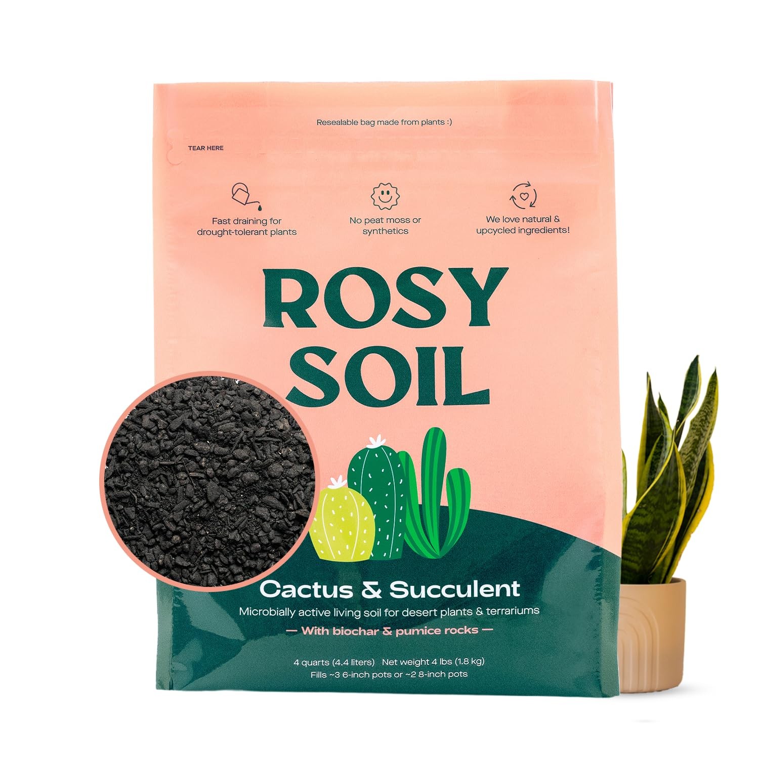 Rosy Soil Cactus & Succulent Potting Mix, 4 4 Quarts, &