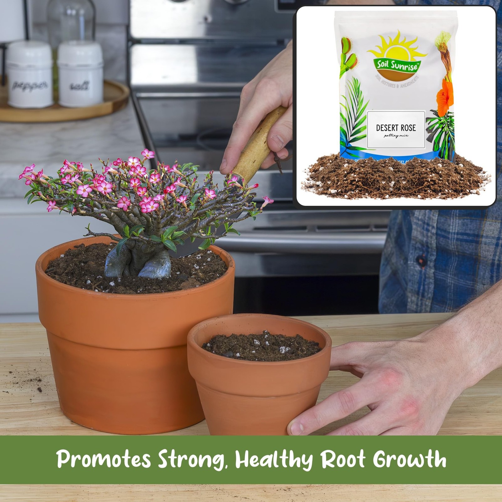 Soil Sunrise Desert Rose Potting Soil Mix (8 Quarts) Hand Blended Small Batch…