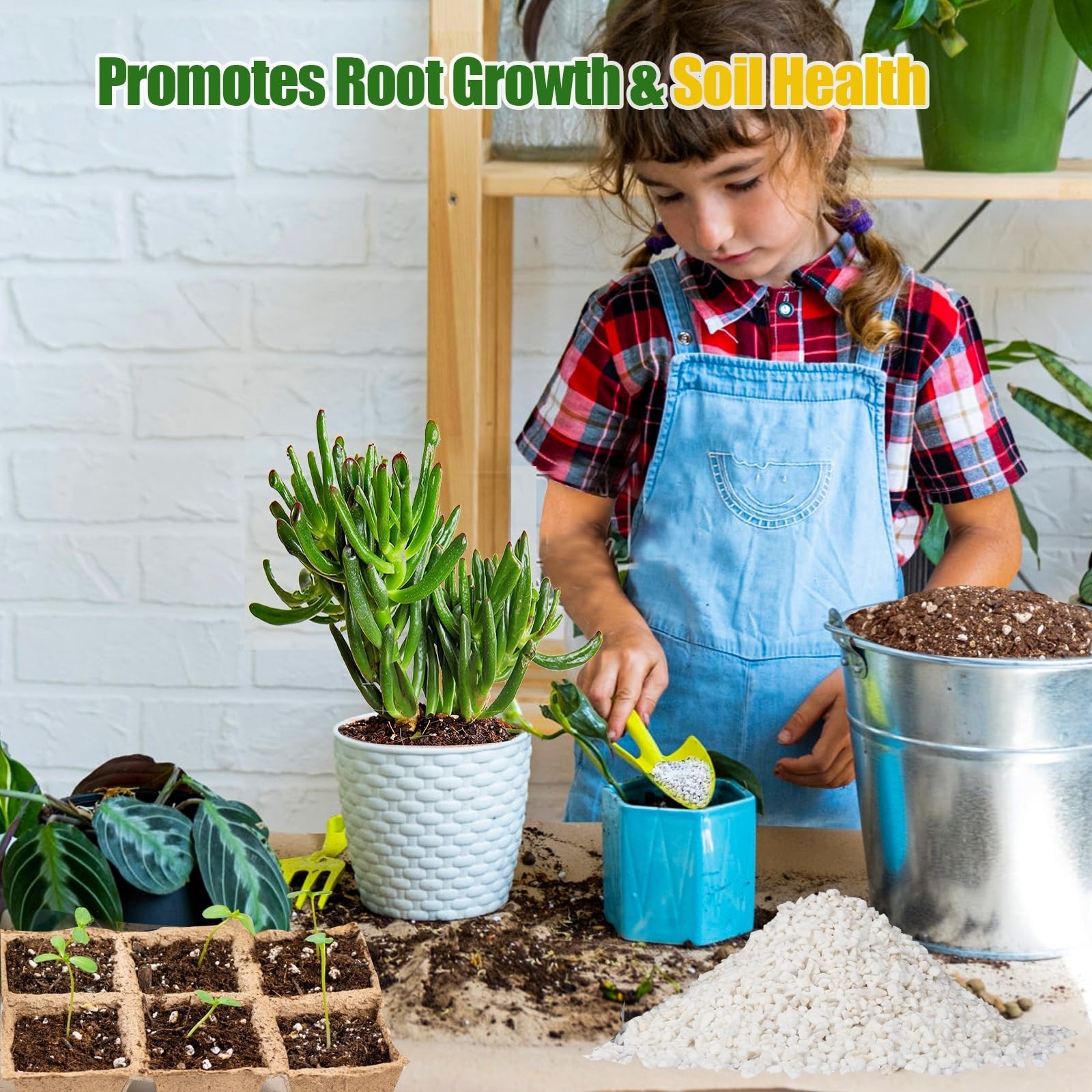 Horticultural Perlite for Plants 1qt, All Natural Horticultural Soil Additive…