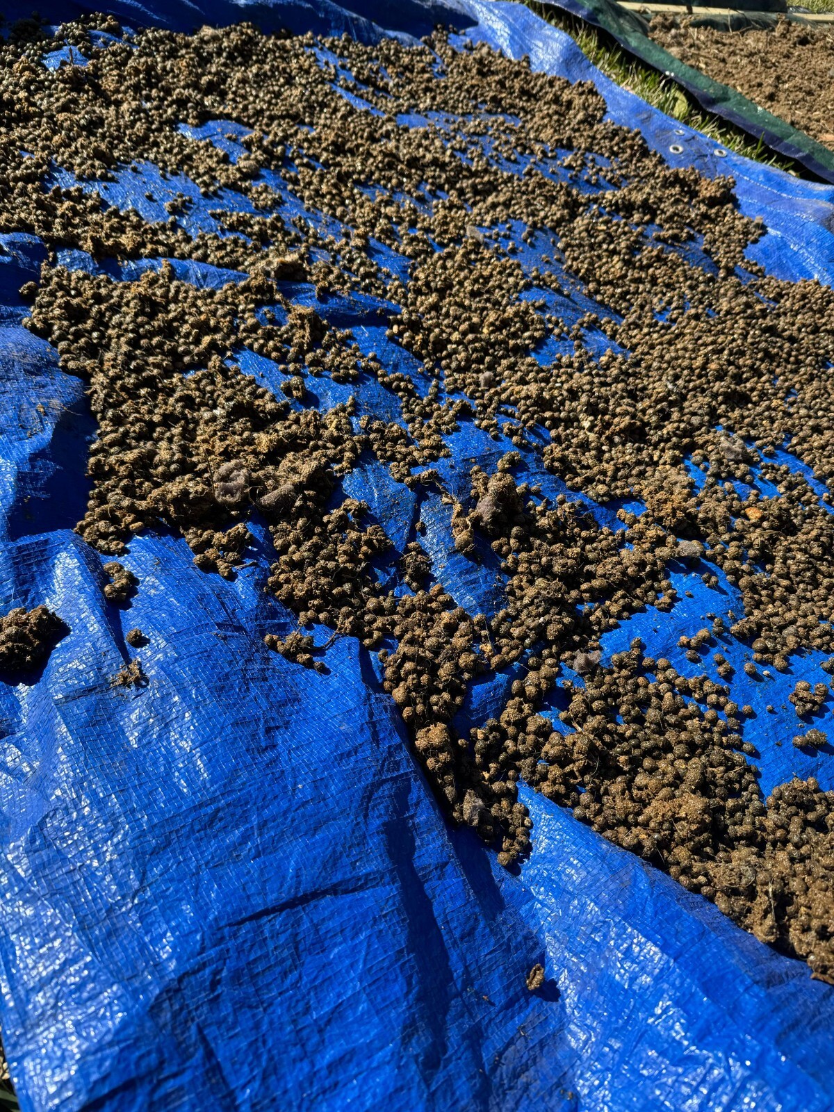 Rabbit Manure Fertilizer Pellets and Dust Grind