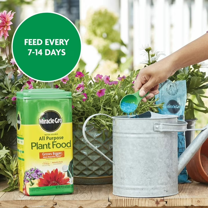 5 lb. Miracle-Gro Water Soluble All Purpose Plant Food, For All Plant Types