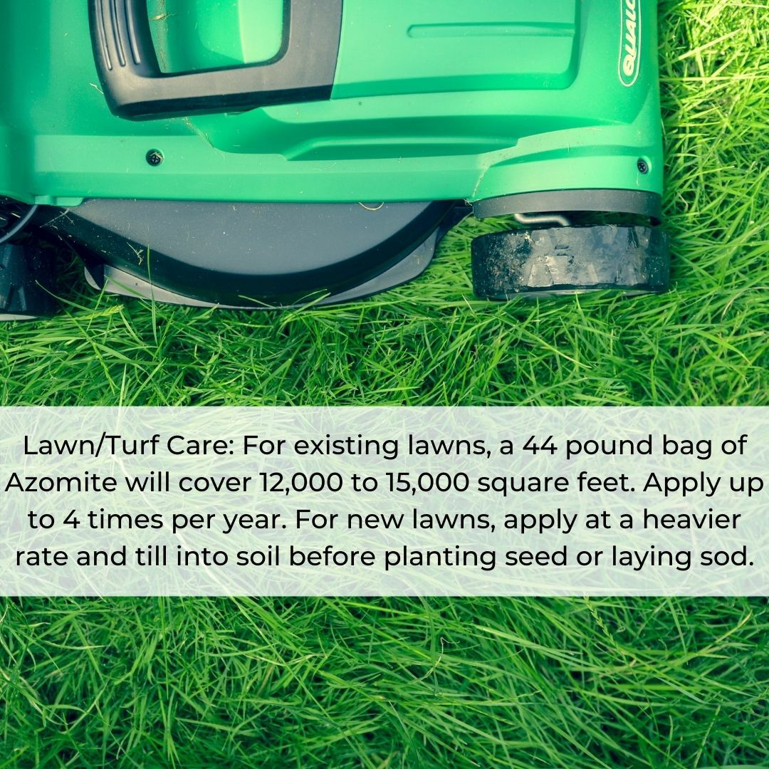 Micronized AZOMITE Powder – All Natural Trace Minerals – Soil Amendment
