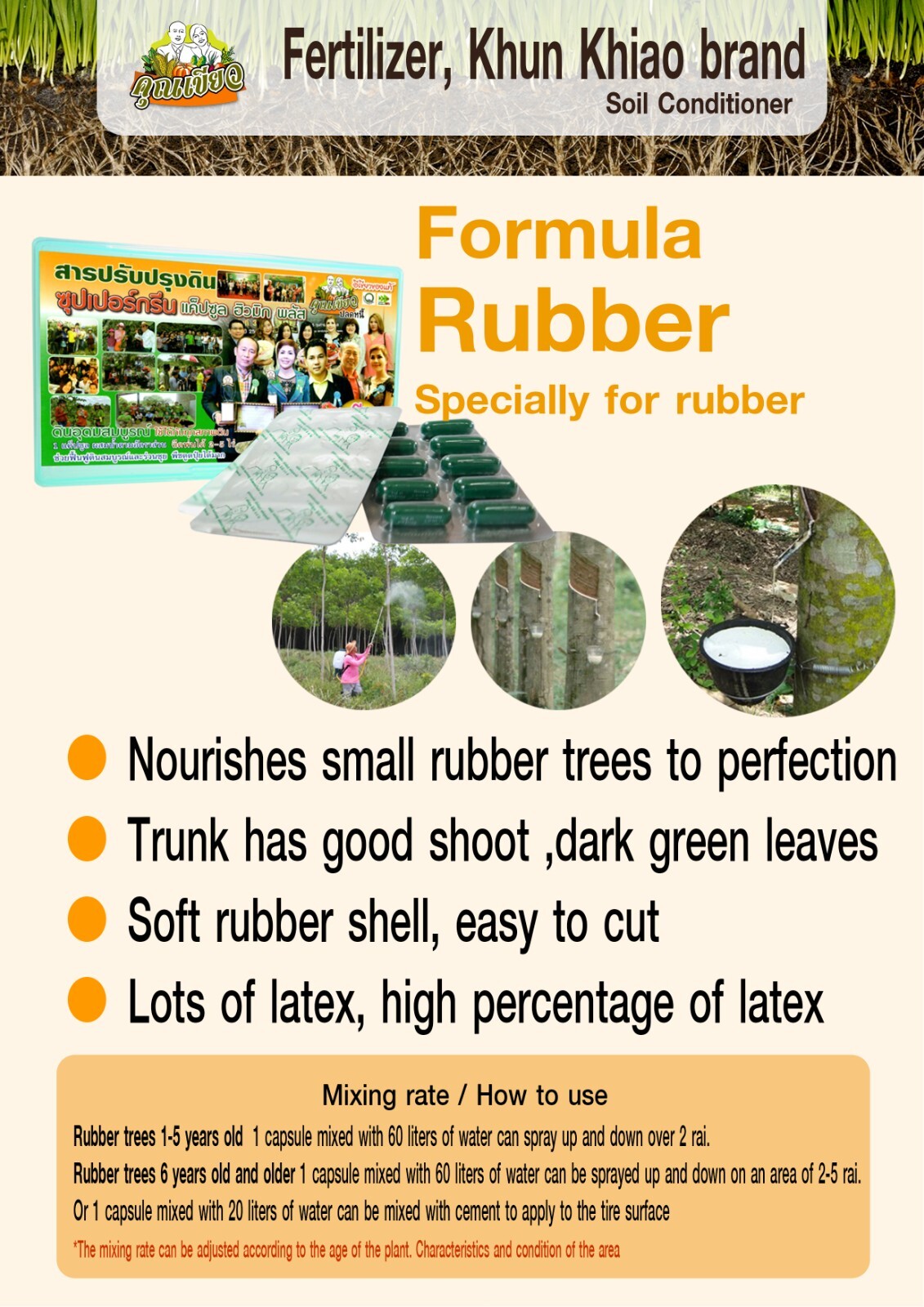 1 sachet 1 gram Fertilizer Powder for Soil Conditioning Khun-Khiao Brand