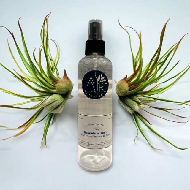 Air Plant Food Mist, Grow Tillandsia faster, air plant Fertilizer, Plant Grow