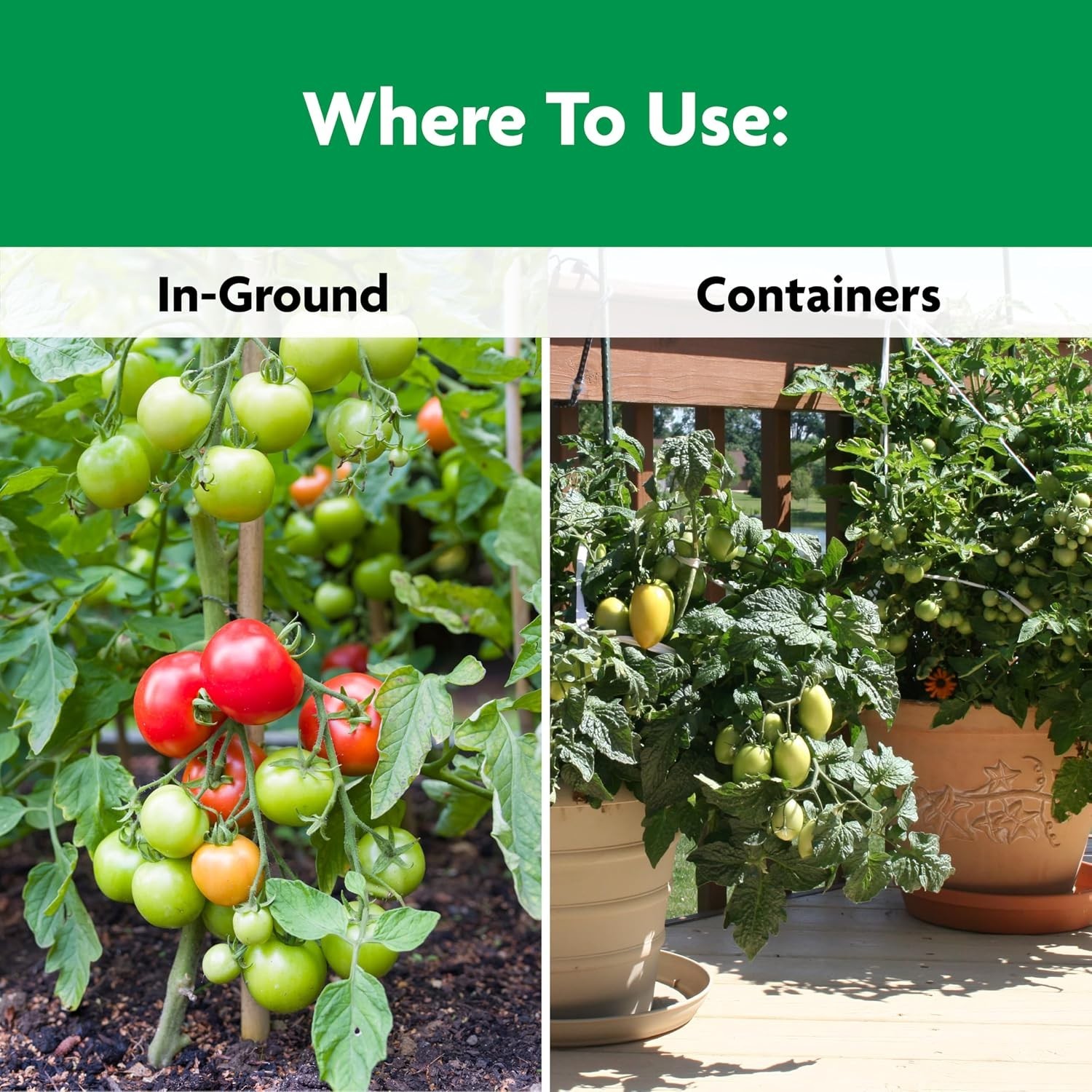 Continuous Release 1 lb. Plant Food for Tomatoes & Vegetables, Granular Formula