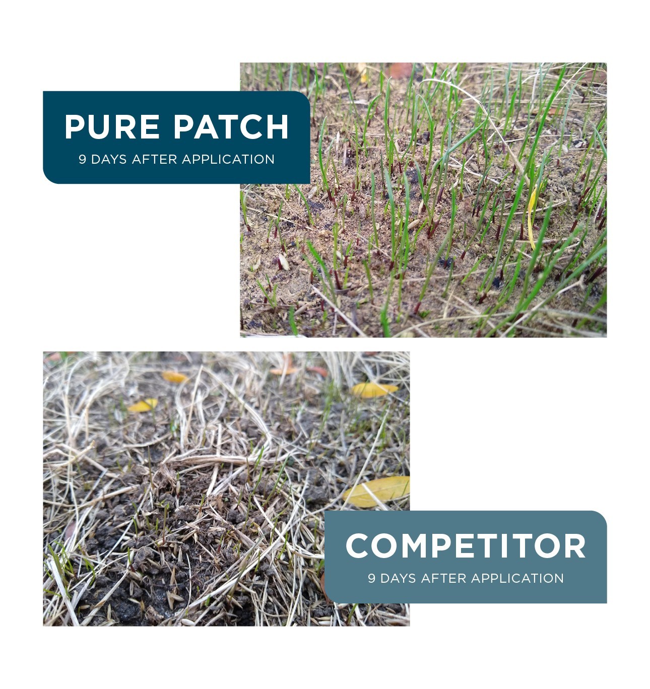 The Andersons Pure Patch Organic All in One Seed Fertilizer Mulch Soil Amendment