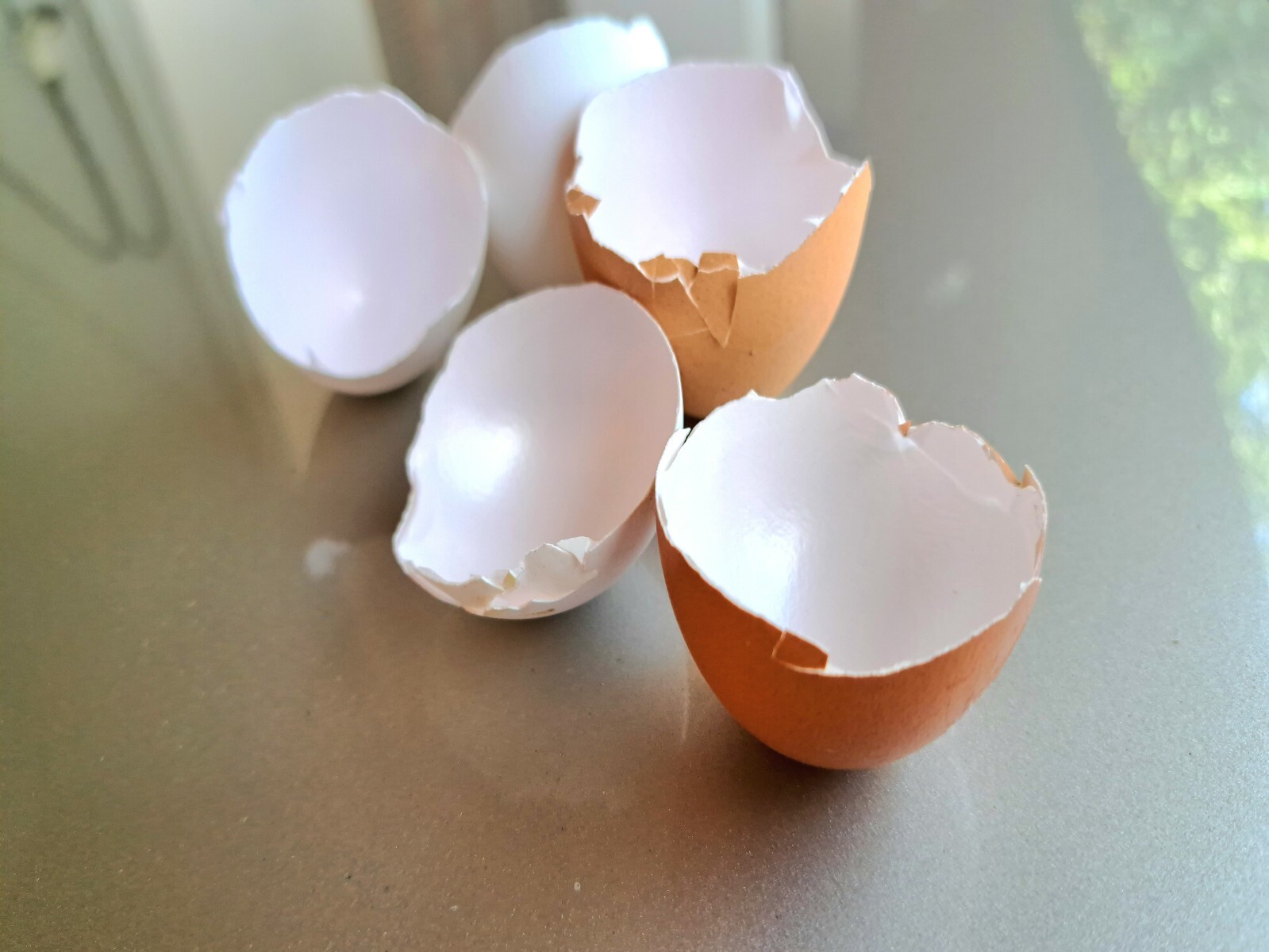 Premium Organic Crushed Eggshell Fertilizer – Calcium Rich for Healthy Plants