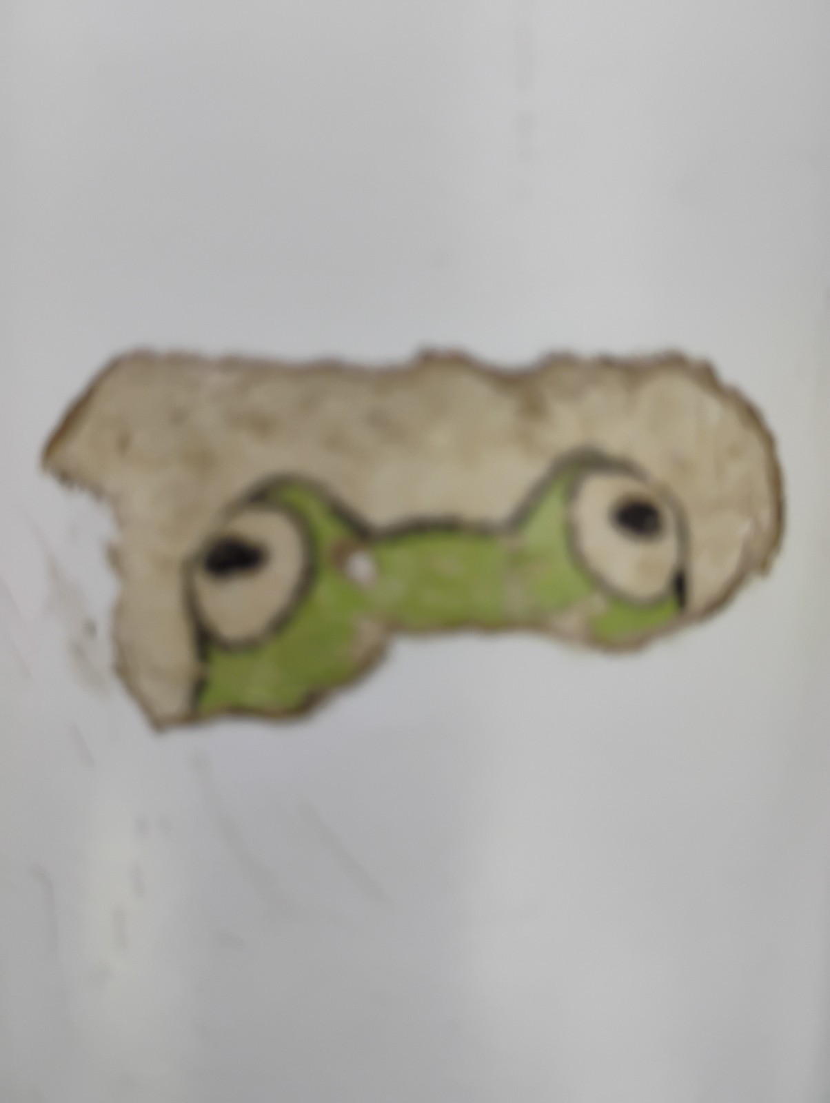 FroG Farm 1014 Ant Farm Minnie Tracy Cow Pasture Donkey Dung for plants