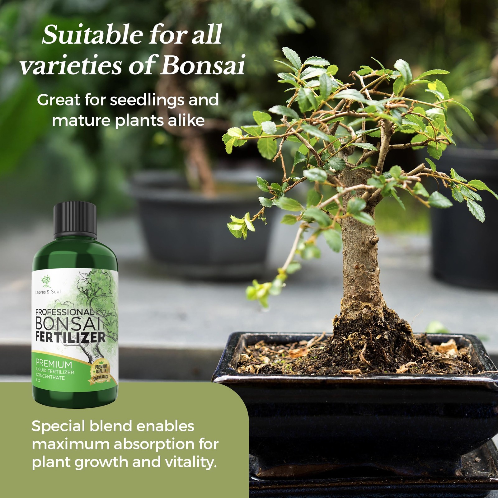 Professional Bonsai Fertilizer Liquid 3-1-2 Concentrate 8 oz Premium Liquid