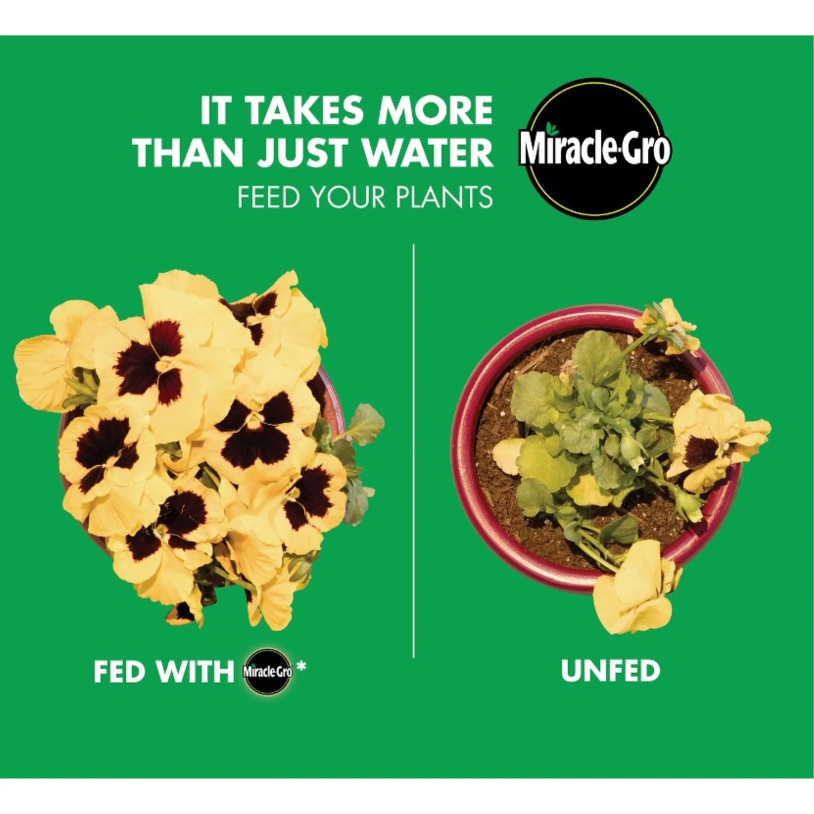 Miracle Gro Liquafeed All Purpose Plant Food Fertilizer, 4 Pack