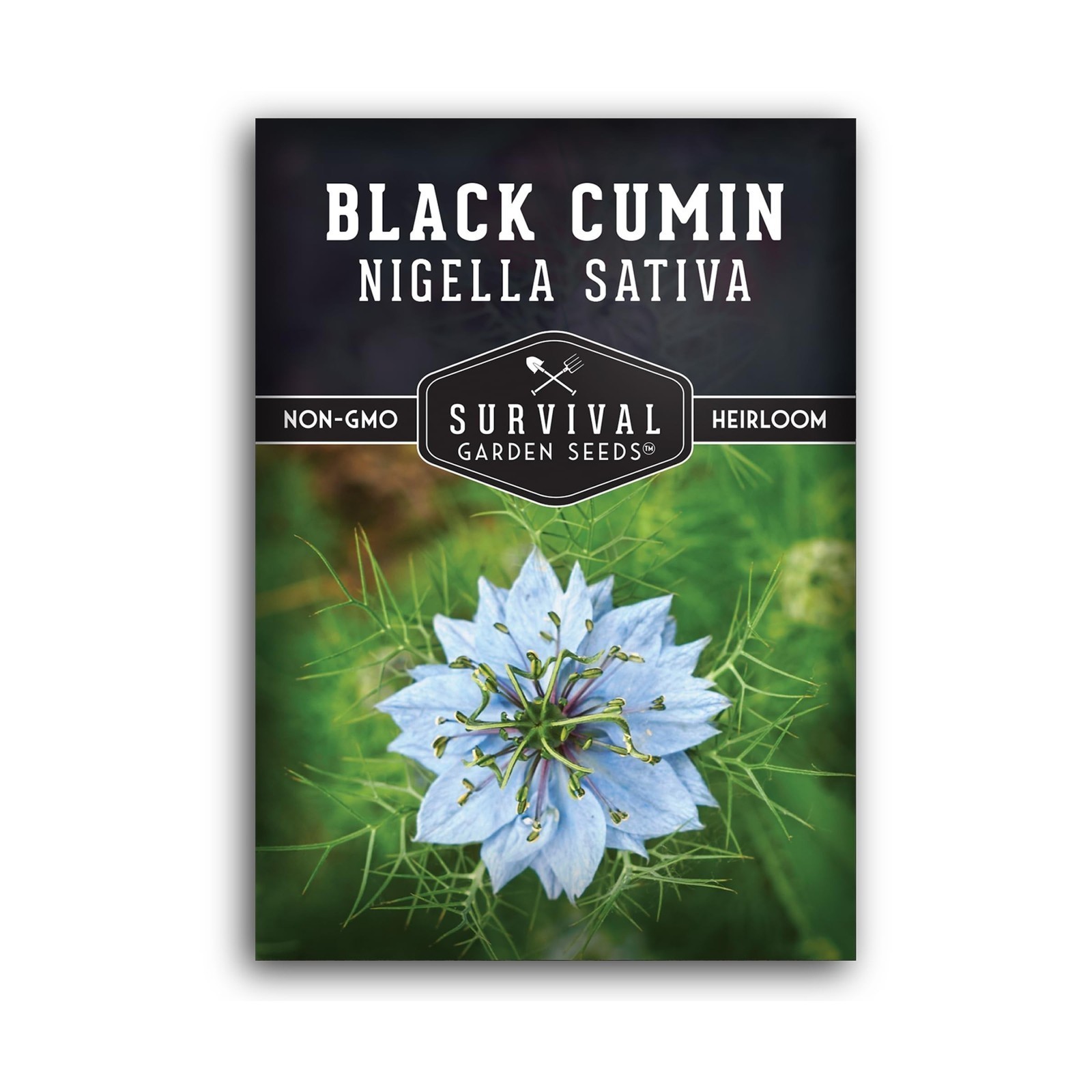 Black Cumin Seed for Planting – 1 Packet with Instructions to Plant and Grow …