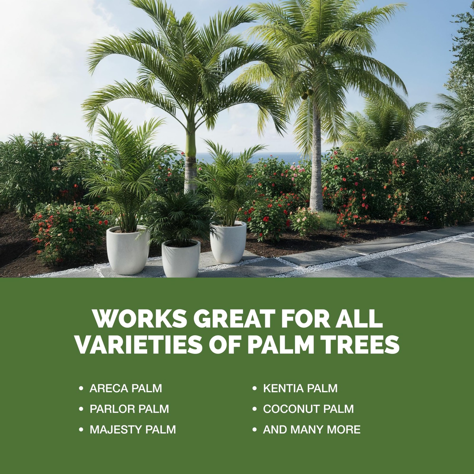 Palm Tree Fertilizer, Liquid Plant Food for Rich Green 8 oz (1/2 Pint)