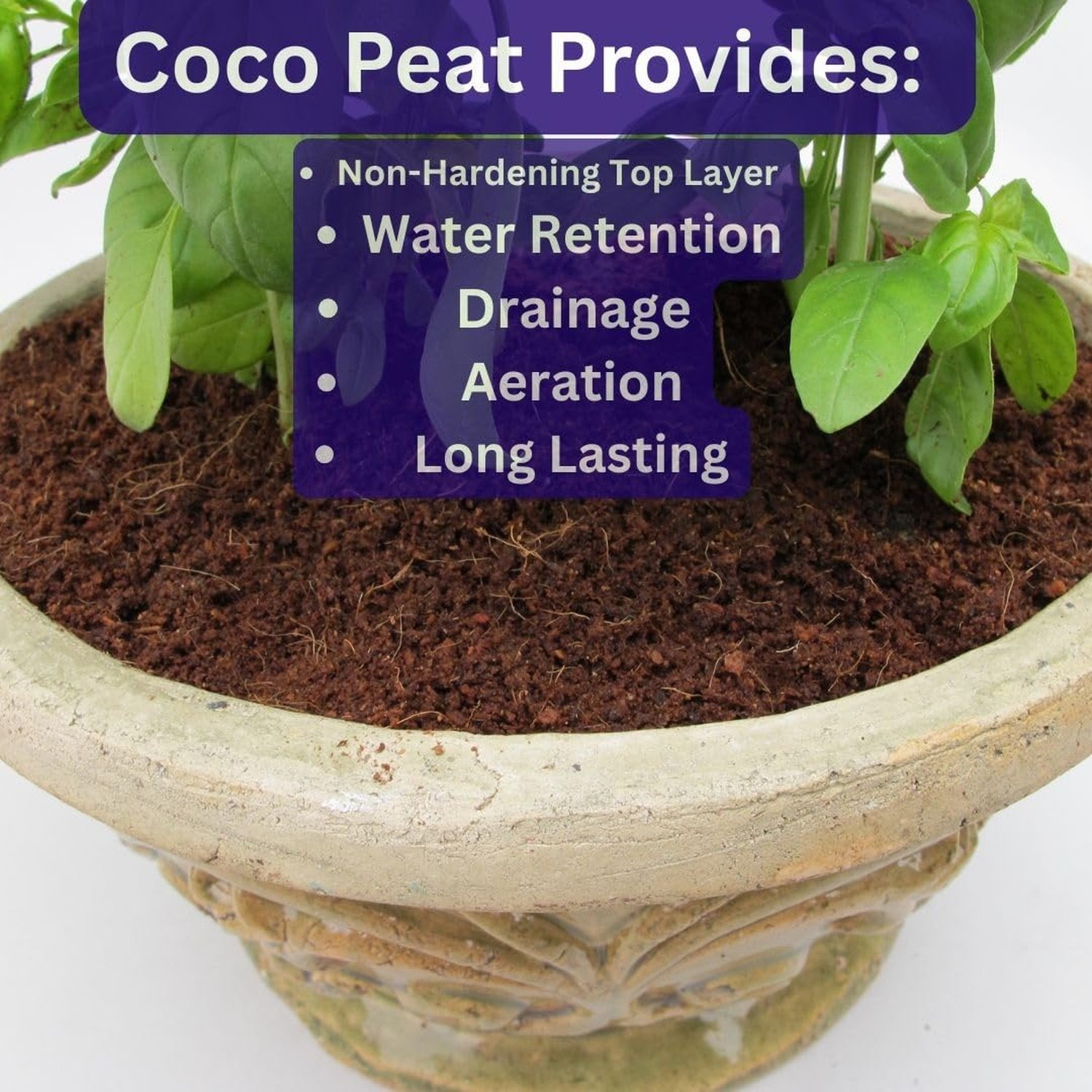 SuperMoss (23274) Coco Peat Soil, Small Bale (2.33 ft3) Natural Brown