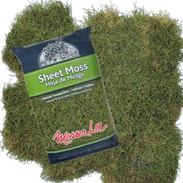 ML0480 Natural Green Sheet Moss – 520 sq. in. – Organic Decorative Moss for T…