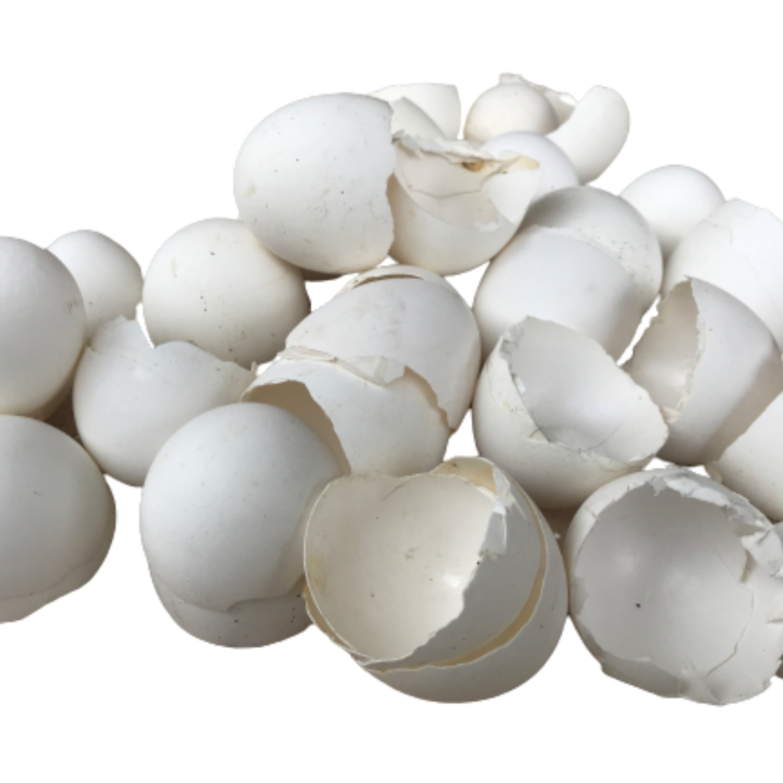 Organic Ceylon Crushed Egg Shell Home Made Calcium Fertilizer Free Shipping