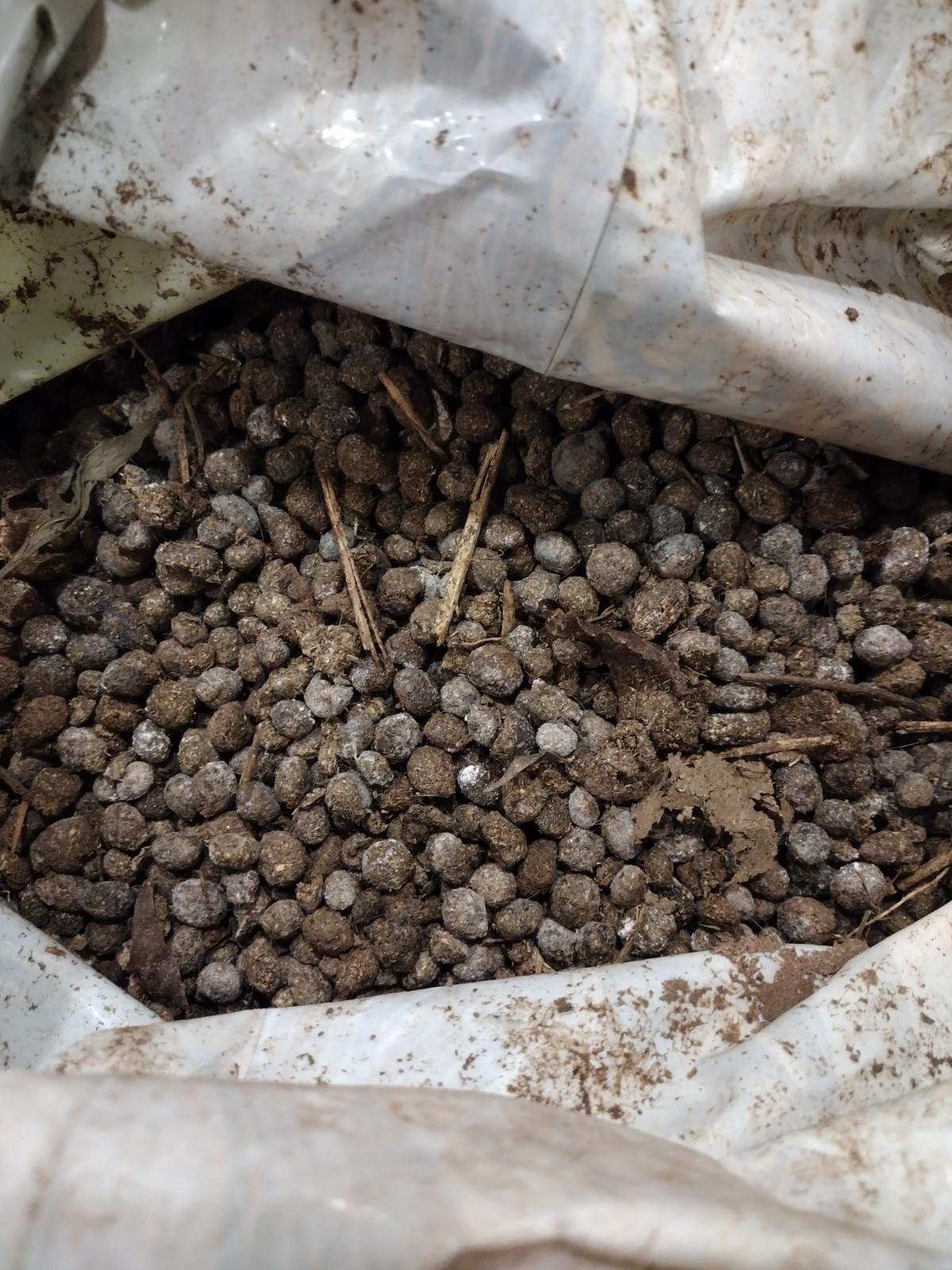 Rabbit Manure ( 5 lbs )