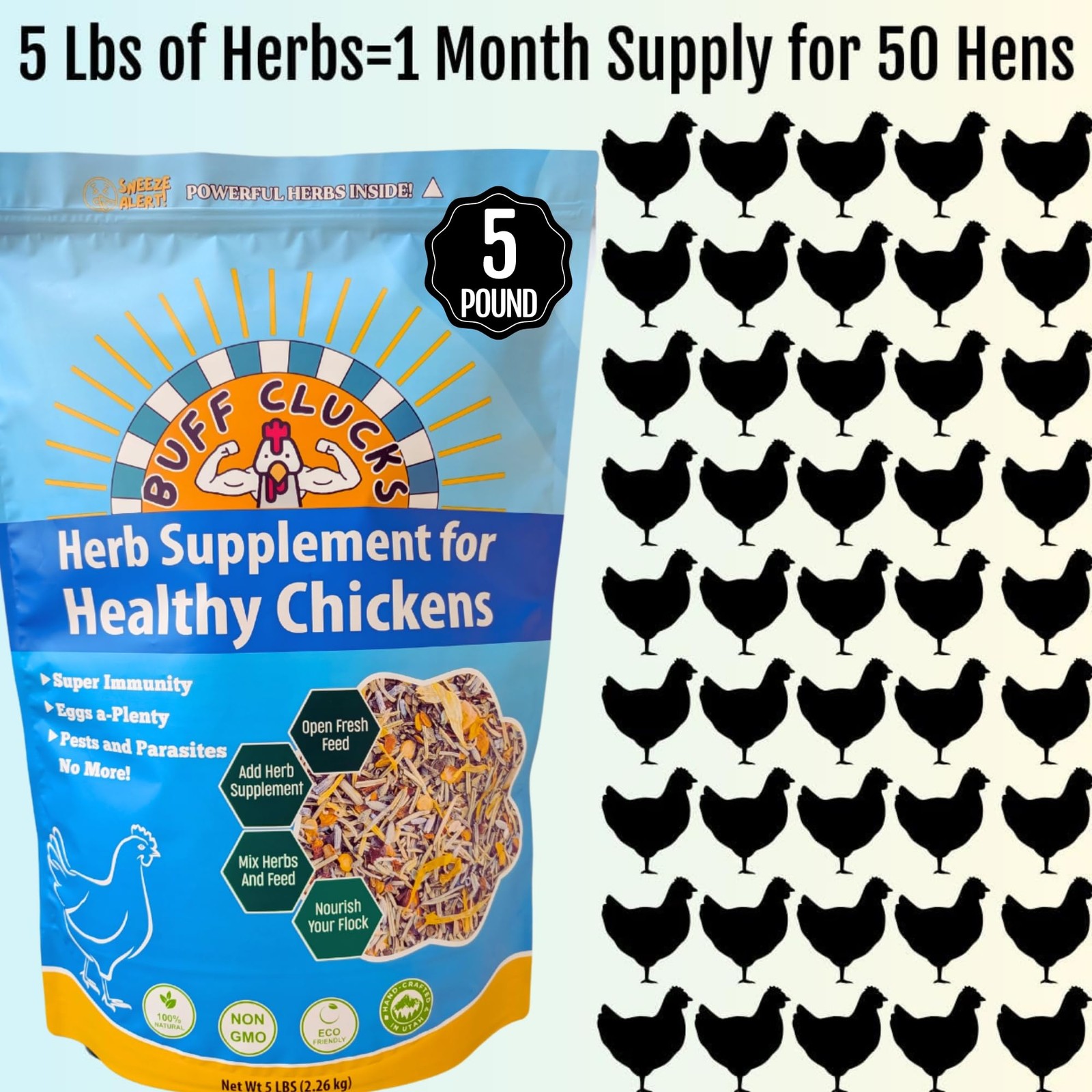 Herbal Chicken Supplement 5 LB Natural Feed Botanical Mix Egg Production Feather