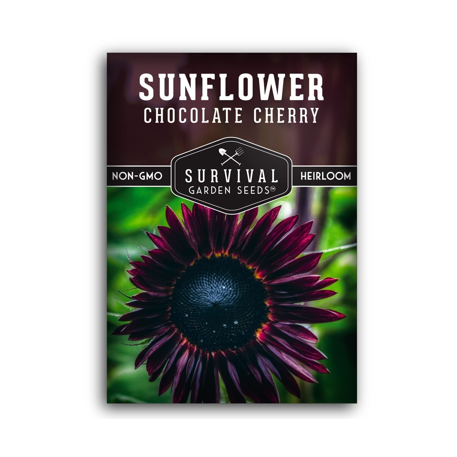 Survival Garden Seeds Chocolate Cherry Sunflower Seed for Planting – Packet w…