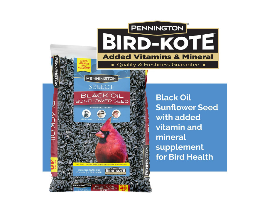 Pennington Select Black Oil Sunflower Seed Wild Bird Dry Feed, 40 lb. Bag