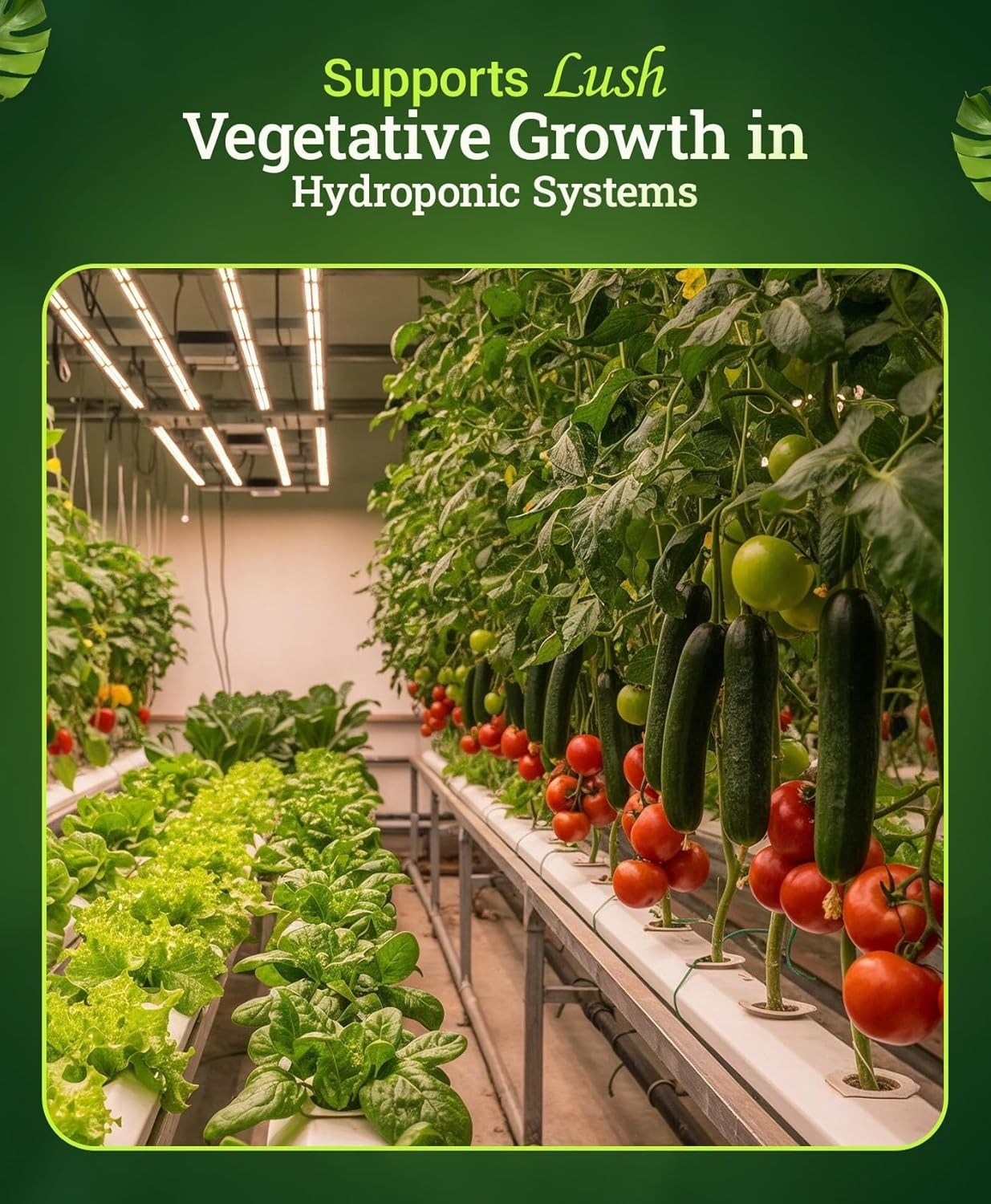 Grow Big Hydroponic Plant Food 3-2-6 Liquid Fertilizer for Vegetative Growth,…