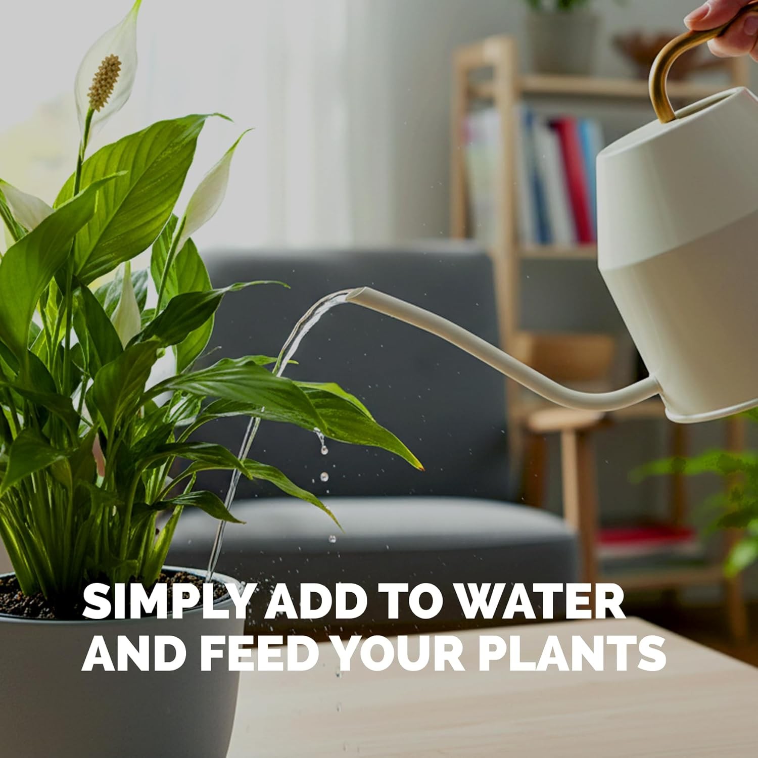 Peace Lily Fertilizer – Liquid Plant Food More Blooms Deep Green Leaves