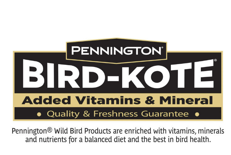 (3 pack) Pennington Select Black Oil Sunflower Seed Wild Bird Dry Feed, 10 lb.