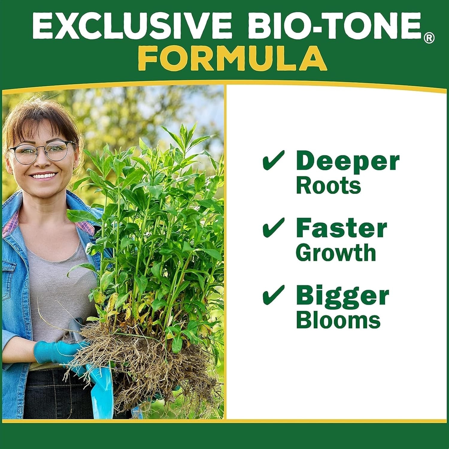 Espoma Organic Holly-Tone 4-3-4 Natural & Organic Evergreen & Azalea Plant Food;