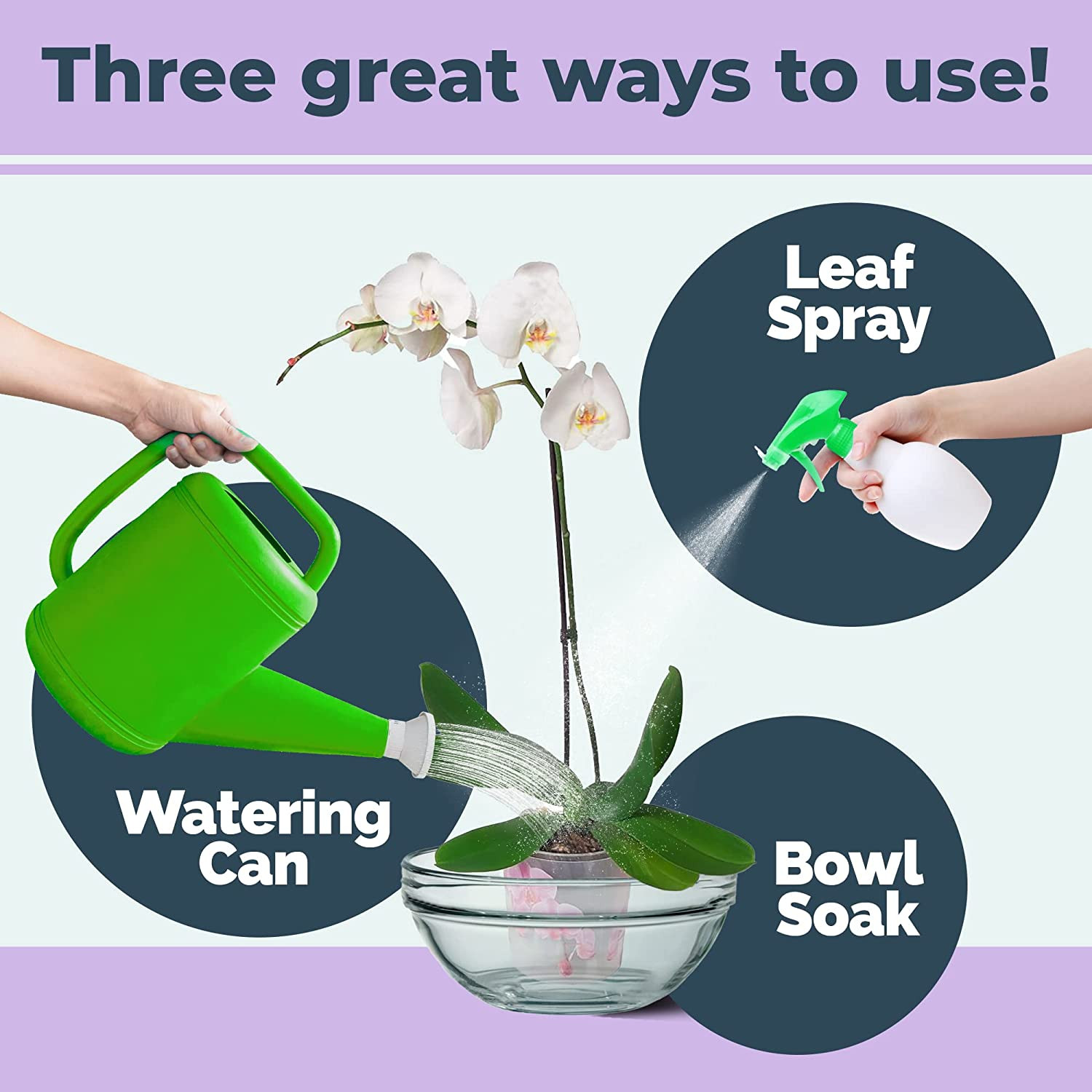 TPS Nutrients Orchid Plant Food for All Orchids and Acid Loving Houseplants