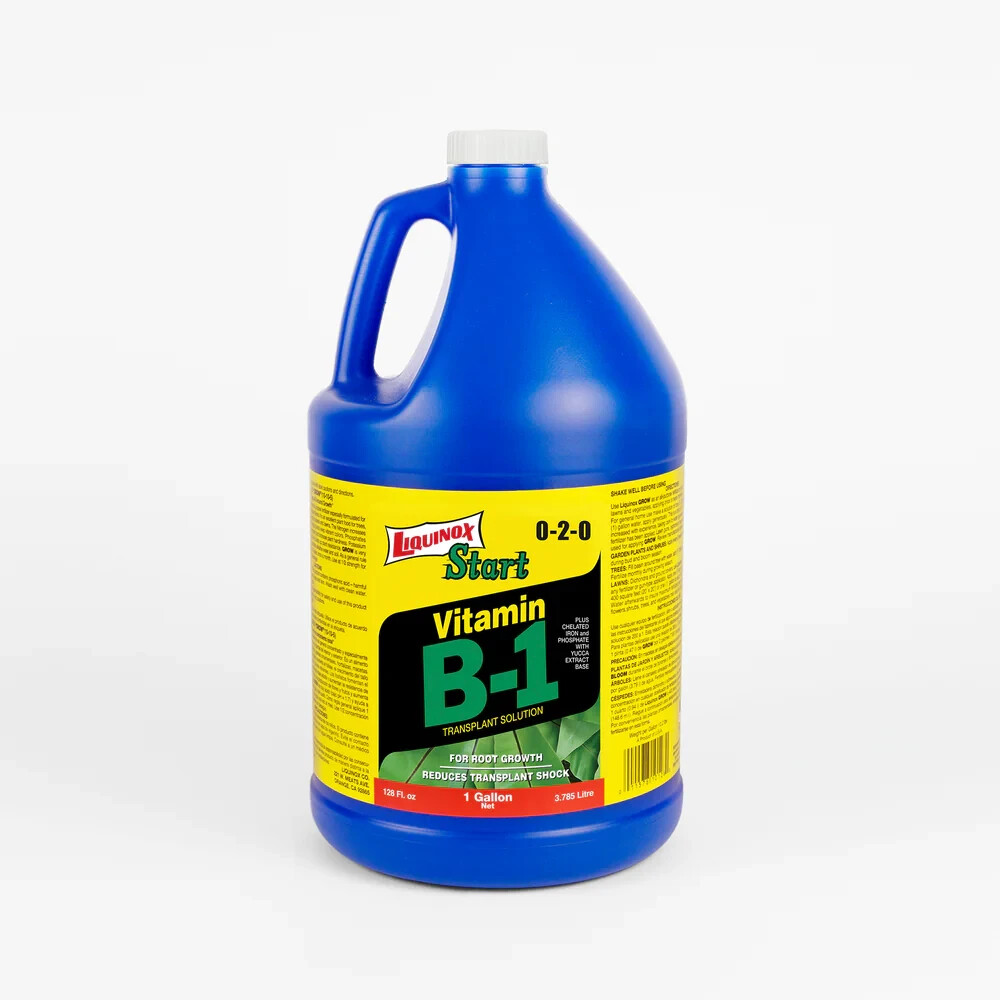 CASE Liquinox Vitamin B-1 0-2-0 (Case of 4)