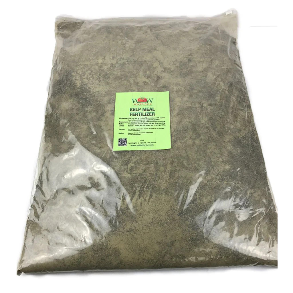 kelp meal fertilizer