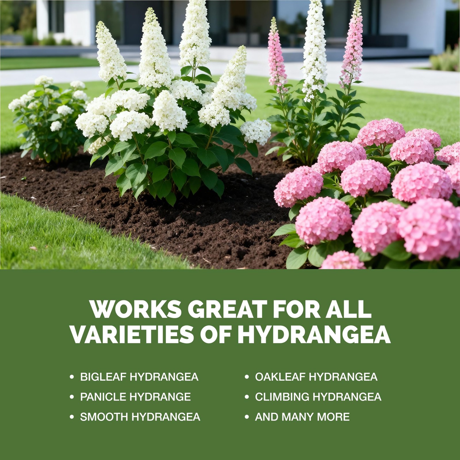 Hydrangea Fertilizer – Liquid Plant Food for Bigger Blooms, 32 oz (1 Quart)