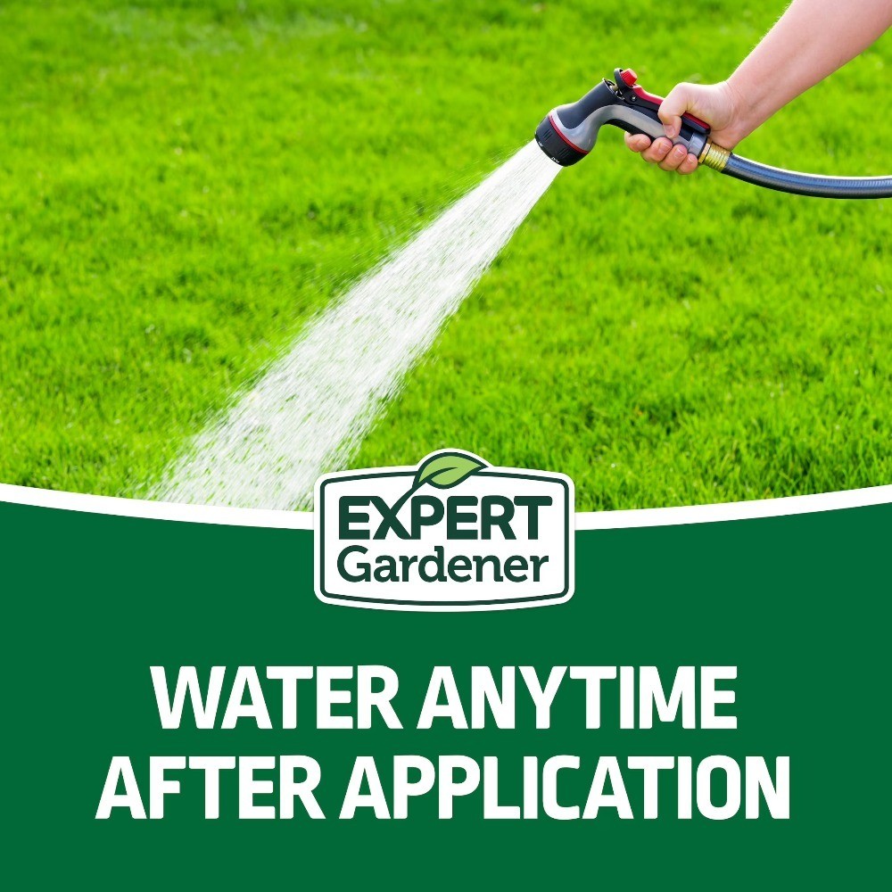 Lawn Food Fertilizer 30-0-4, Plus 2% Iron, 33.6 lb., Covers 12,000 Sq. ft.