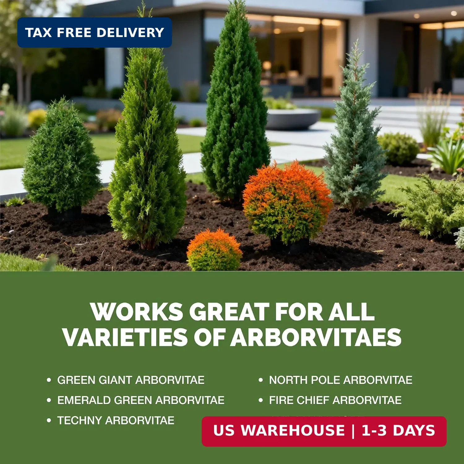 Arborvitae Tree Fertilizer – Liquid Plant Food for Greener Foliage, 1 Gal | Supp