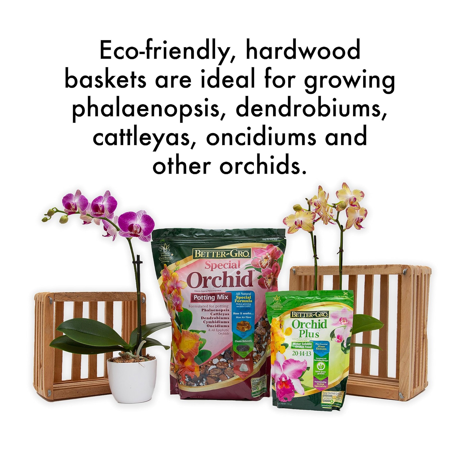 Sun Bulb 52720 Better GRO Square Cedar Basket, 8″