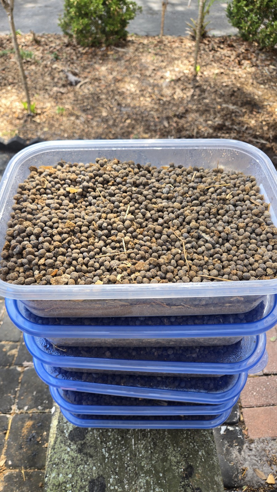 Organic RABBIT BEANS Poop Pellets Manure Cleaned Fertilizer over 6 lbs
