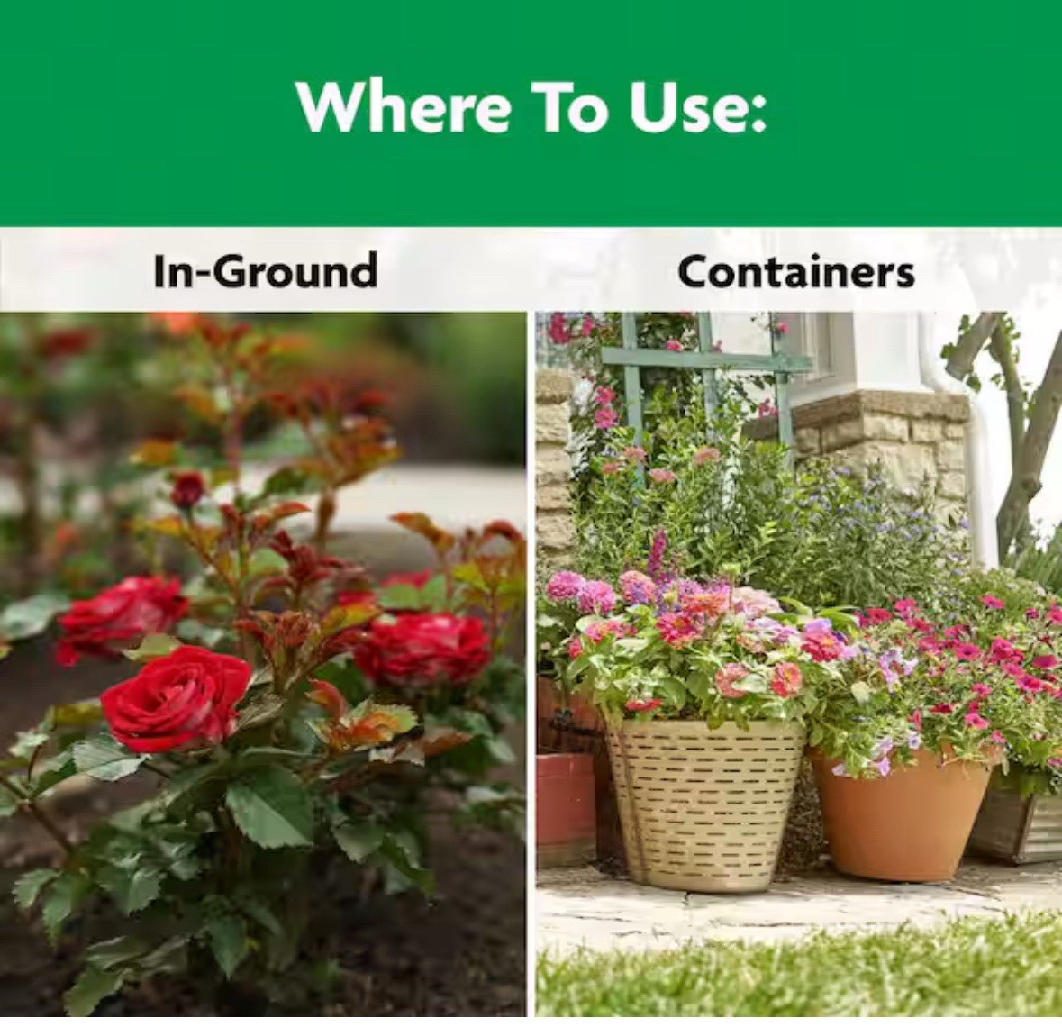 Miracle Gro Shake n Feed Rose & Bloom 4.5 Lbs
