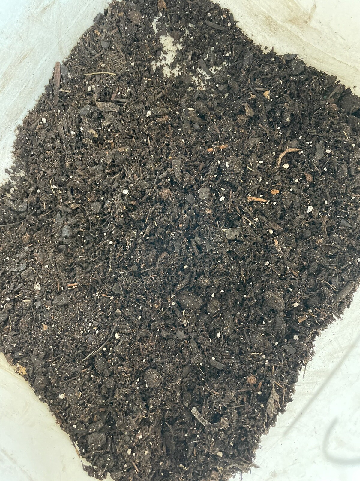 Terre’s Compost Organic Fertilizer from 2/3 veggies, fruit, 1/3 miracle grow