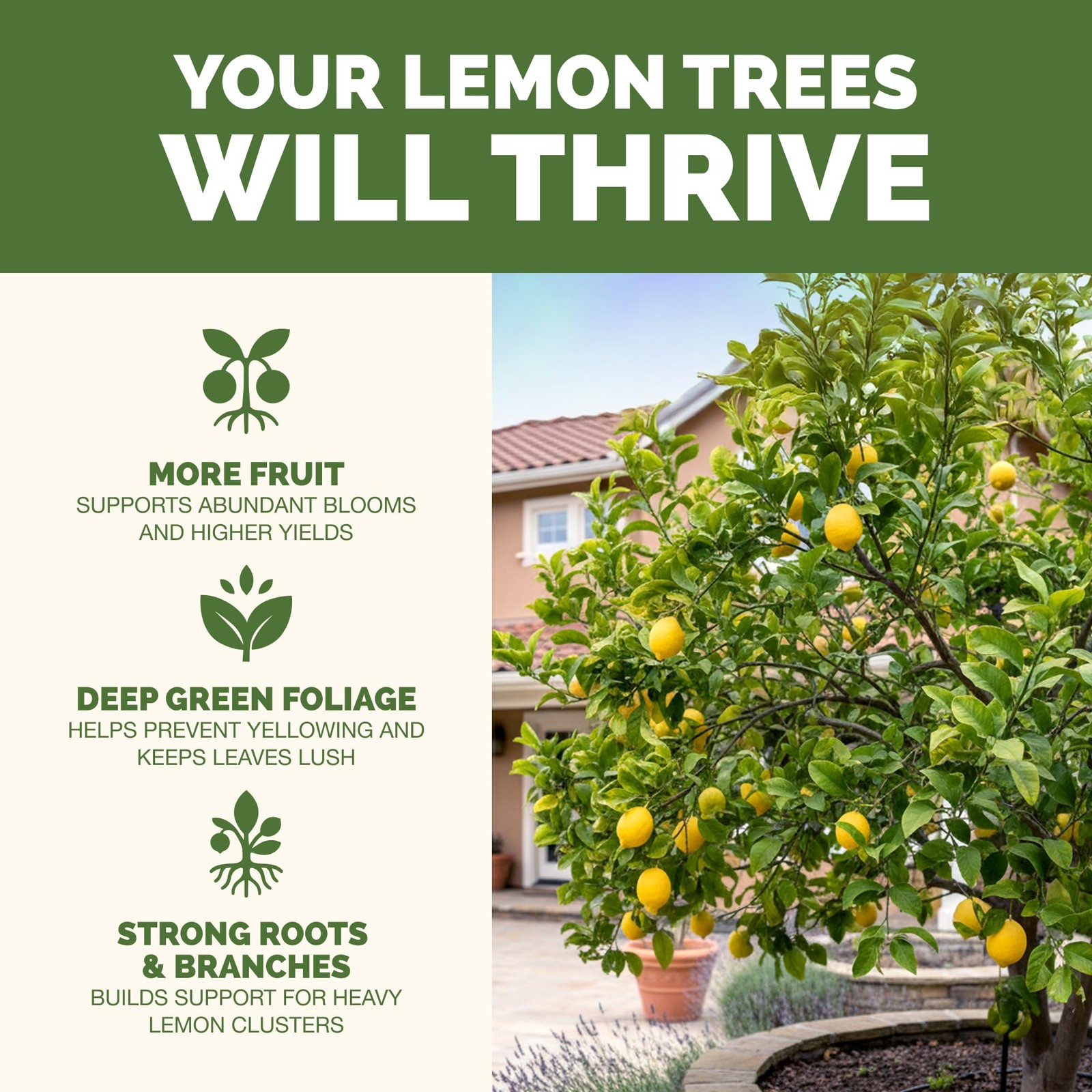 Lemon Tree Fertilizer – Liquid Plant Food for More Fruit, 8 oz (1/2 Pint)