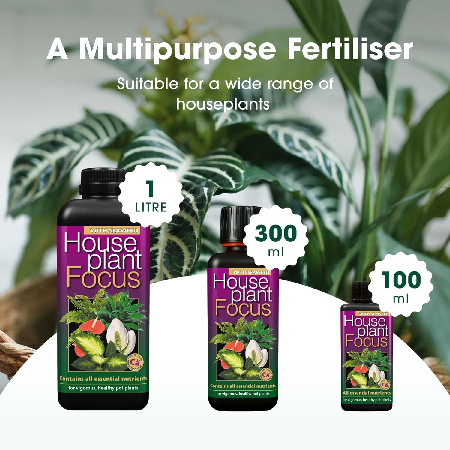 Liquid Fertilizer for Potted Plants Concentrated 100ml Indoor Outdoor Plant Food