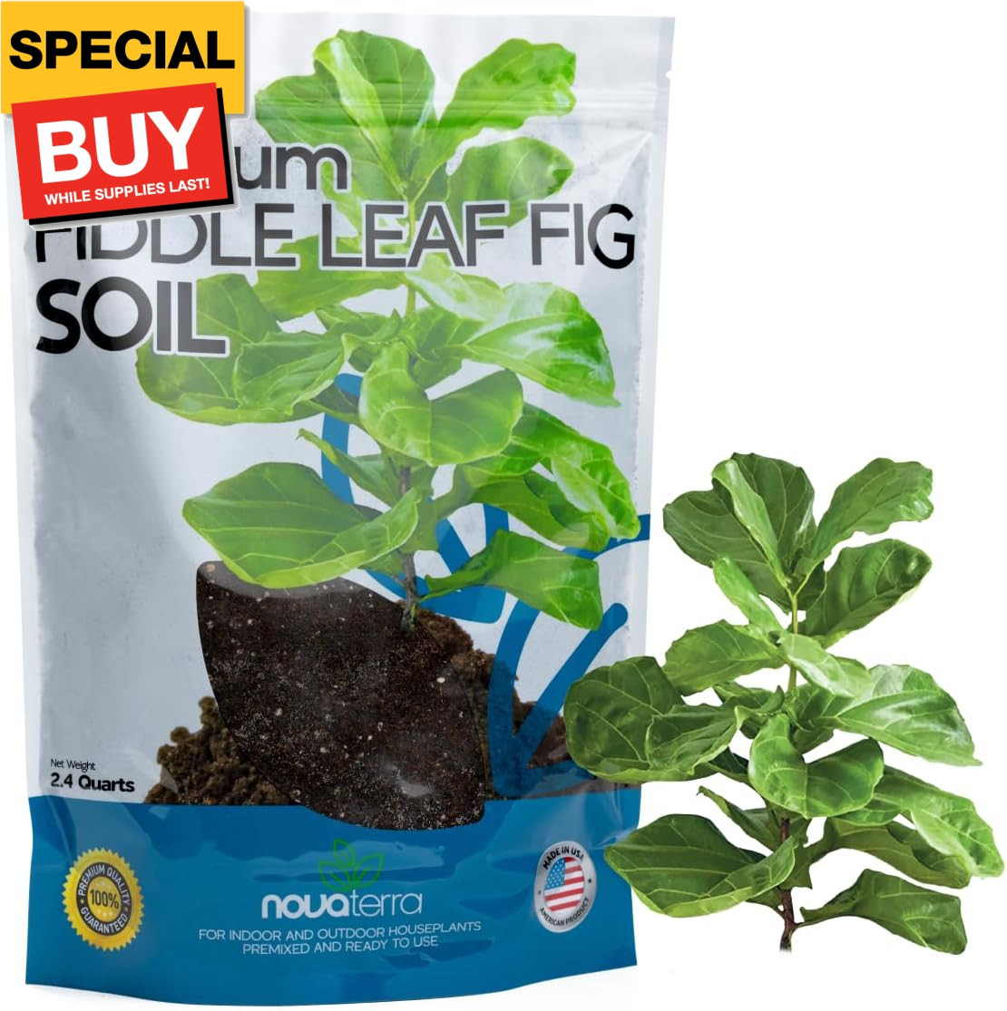Fiddle Leaf fig Soil Plant Food fig Trees Live Plants Fertilizer Seed Starter So