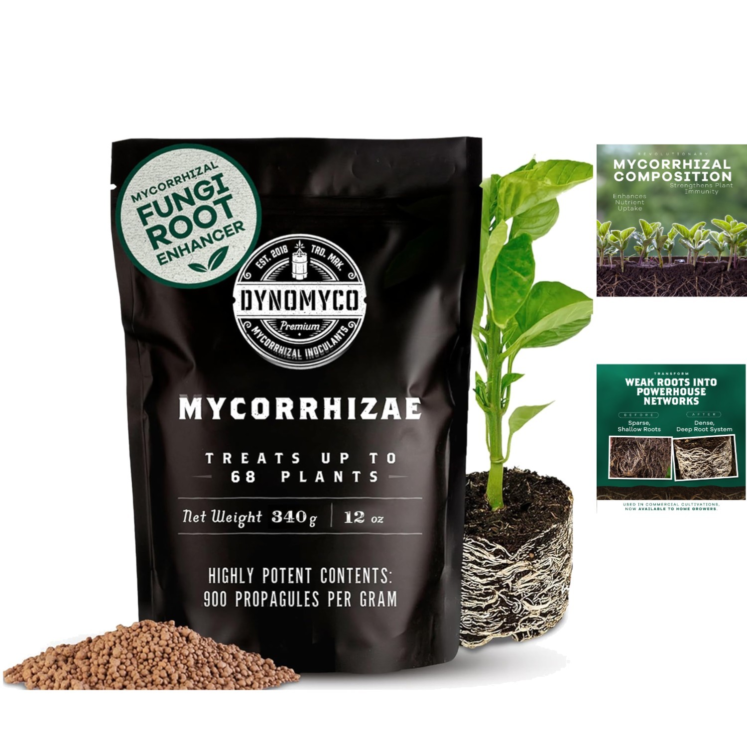 Concentrated Mycorrhizal Fungi Granules, 340g – Root Growth & Stress Protection
