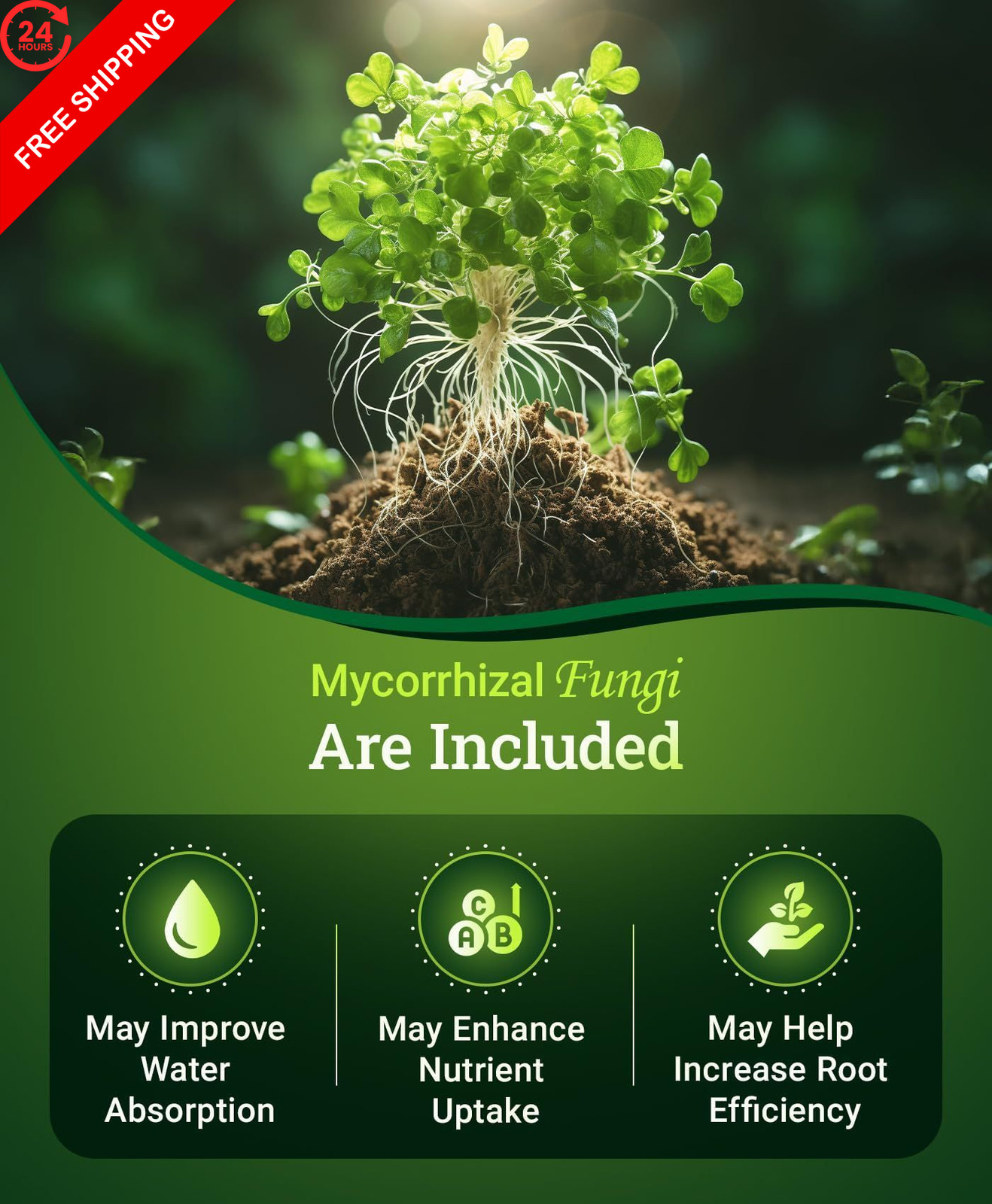 FoxFarm Happy Frog All Purpose Fertilizer – Slow Release 4 lb, No Color